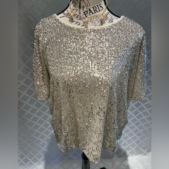 Sequin Embellished Silver Top by H & M Size Large - Picture 1 of 9